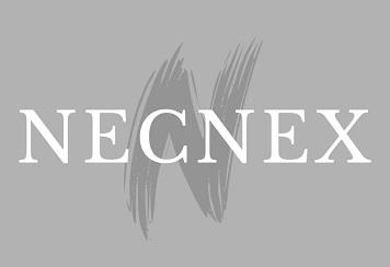 NECNEX logo