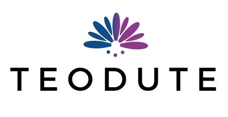 TEODUTE logo