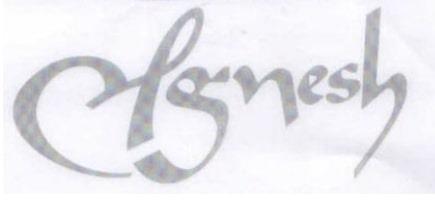LAGNESH logo