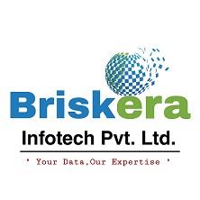 BRISKERA INFOTECH PVT.LTD. logo