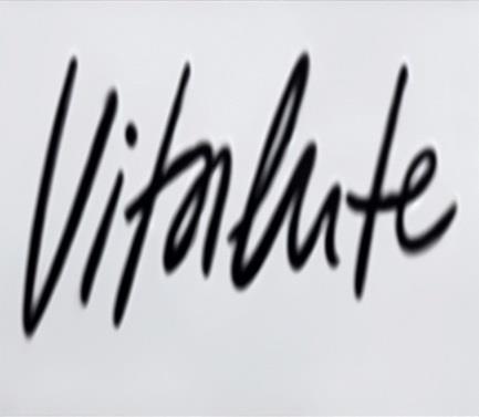 VITALUTE logo