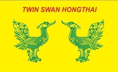 TWIN SWAN HONGTHAI LOGO logo