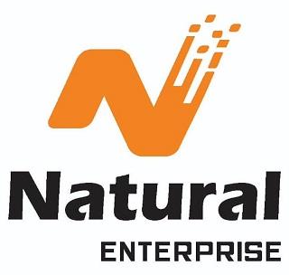 Natural Enterprise WITH N LOGO logo