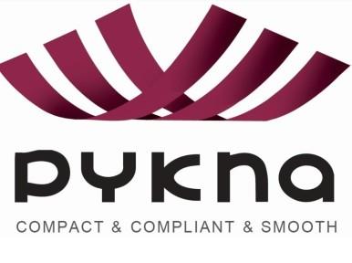pykna logo