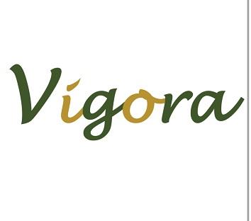 Vigora logo