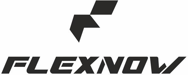 FLEXNOW logo