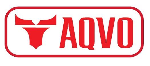 TAQVO logo