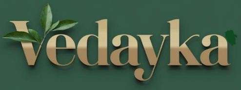 Vedayka logo