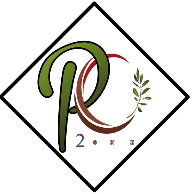 PC 2ONE logo