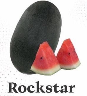 Rockstar logo
