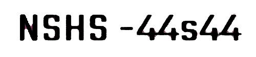 NSHS 44S44 WITH DEVICE logo