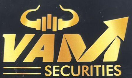 VAM SECURITIES logo