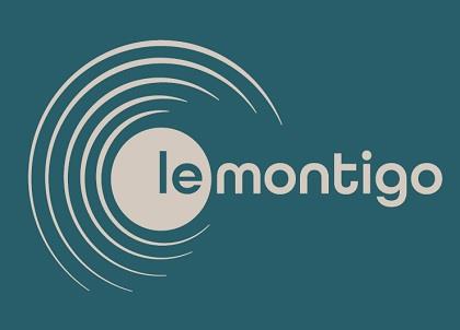 lemontigo logo