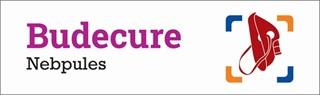 BUDECURE NEBPULES logo