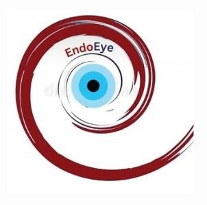 ENDOEYE logo