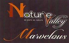 NATURE VALLEY AS PURE AS NATURE MARVELOUS logo