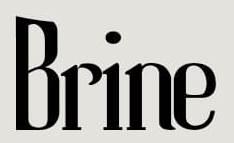 BRINE logo