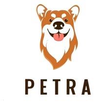 PETRA logo