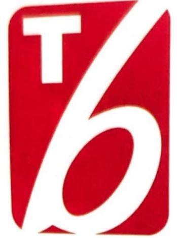 T 6 (LOGO) logo