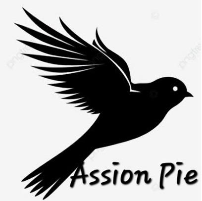 Assion Pie logo