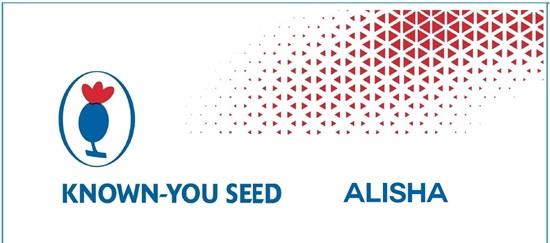 KNOWN-YOU SEED ALISHA logo