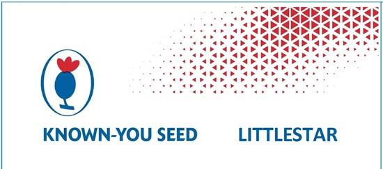 KNOWN-YOU SEED LITTLESTAR logo