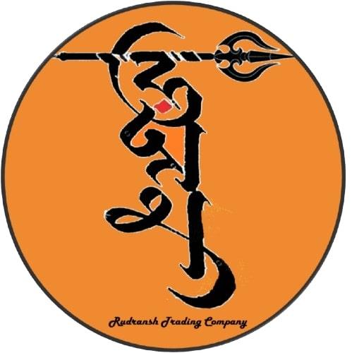 Rudransh Trading Company logo