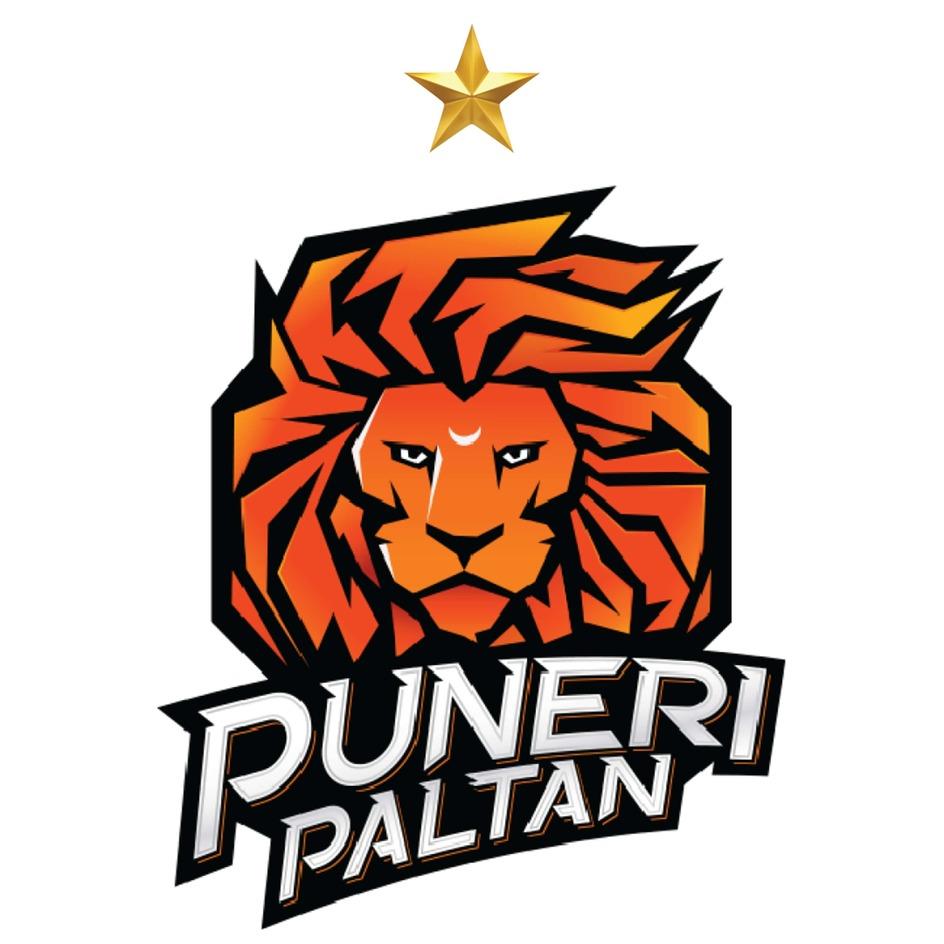 PUNERI PALTAN logo