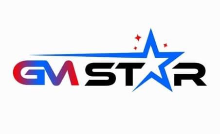 GM STAR logo