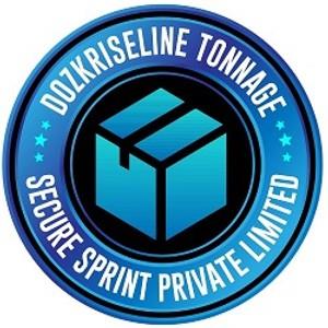 DOZKRISELINE -Tonnage secure sprint private limited logo