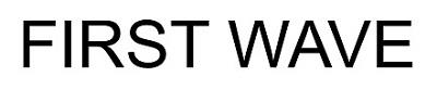 FIRST WAVE logo