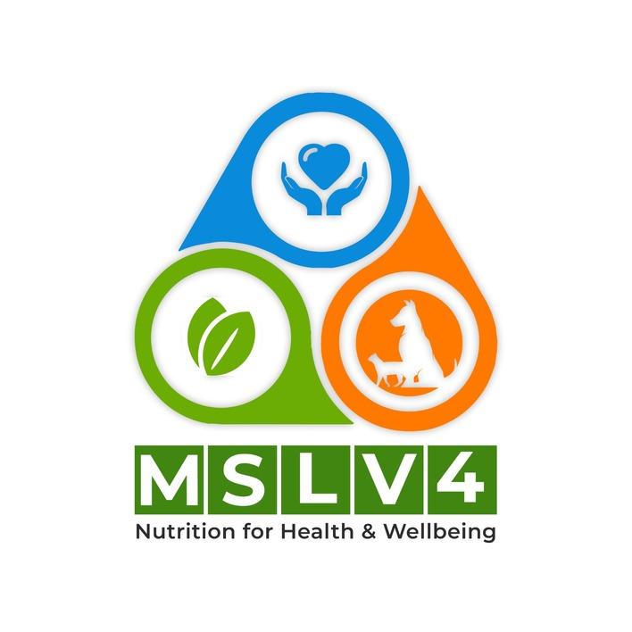 MSLV4 logo