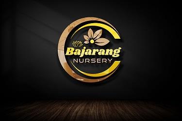 Bajarang NURSERY logo
