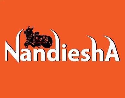 NANDIESHA logo