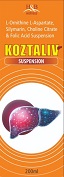 KOZTALIV logo