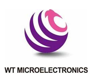 WT MICROELECTRONICS (Device) logo