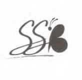 SSB logo