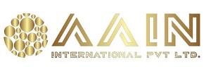 AAIN INTERNATIONAL PVT LTD. logo
