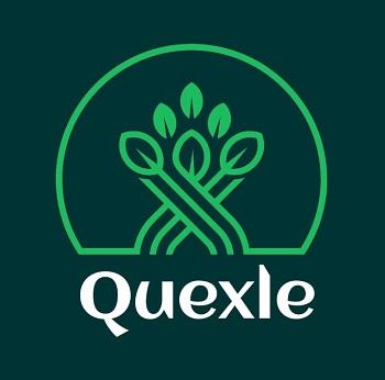 Quexle logo