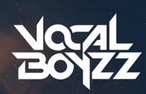 VOCALBOYZZ WITH DEVICE VB logo