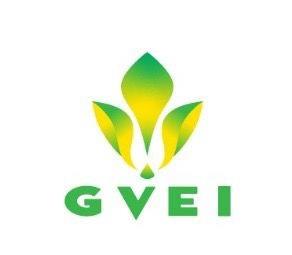 GVEI logo