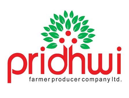 PRIDHWI logo