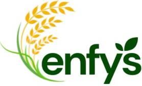 ENFYS logo