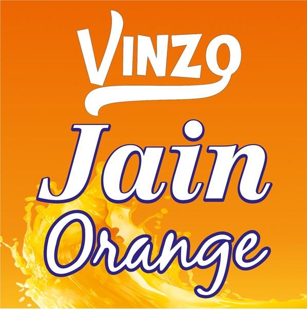 VINZO JAIN ORANGE logo