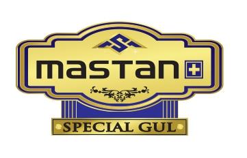 MASTANPLUS - SPECIAL GUL logo