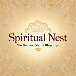 Spiritual Nest - We Deliver Divine Blessings logo