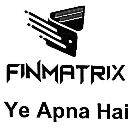 FINMATRIX logo