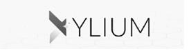 XYLIUM ALONG WITH A LOGO DEVICE logo