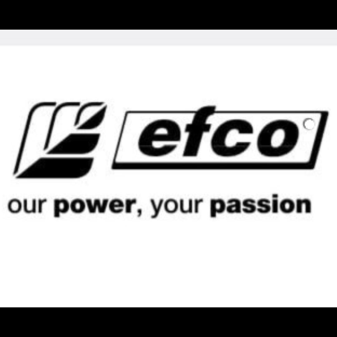 EFCO-OUR POWER, YOUR PASSION logo