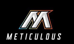 METICULOUS logo